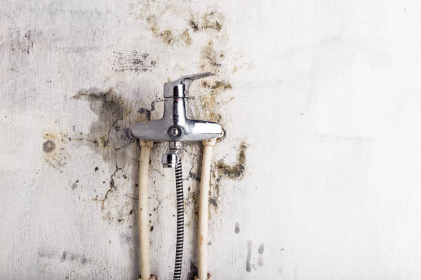 Best Residential Mold Remediation in Myersville, MD