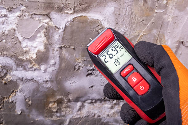 Best Preventive Mold Services in Myersville, MD