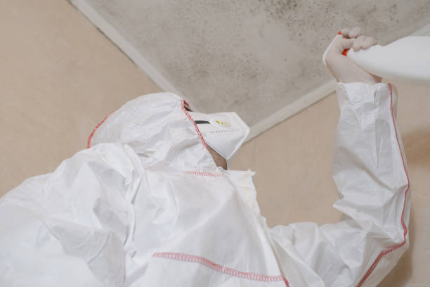 Best Health and Safety Mold Remediation in Myersville, MD